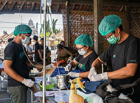 Sterilization Newsletter Highlights.jpg