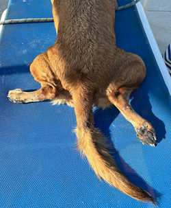 22622d_bf0d45e8b26c430194a686baaad87b72~mv2