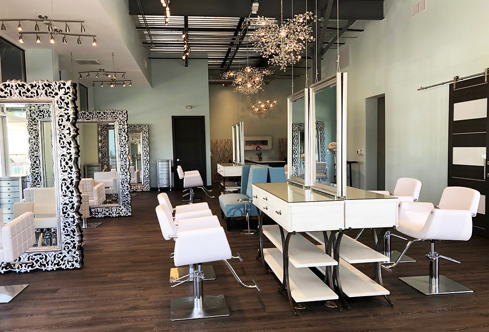 Bebe Ellis Salon Cary, NC Aveda Fashion Color Hair