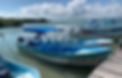 bateau-punta-allen.jpg