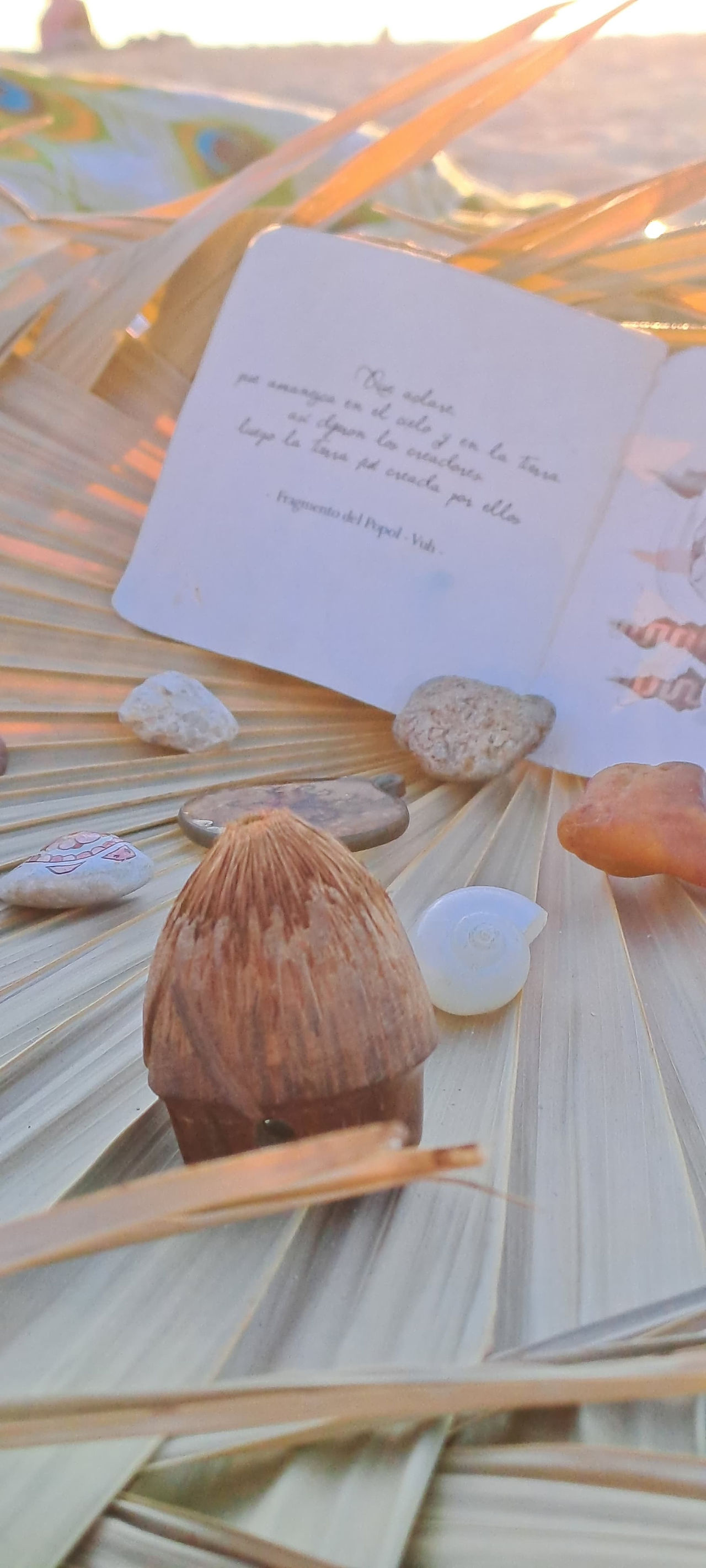 Asistir a una ceremonia de cacao es una experiencia mística y emocional