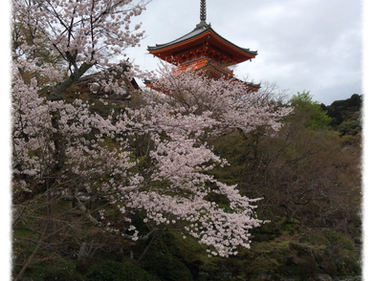 ☆公式ウェブサイト・ブログを開設しました★
Ami Hoyano's Official Website&Blog Open!!