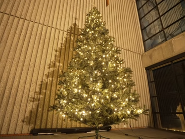 点灯式の動画🎄