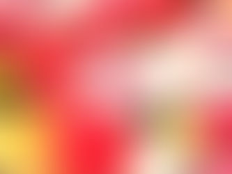 新年のはじまりに♪