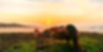 Homepage%20slider%20arm%20balance_edited