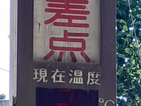 大暑です!