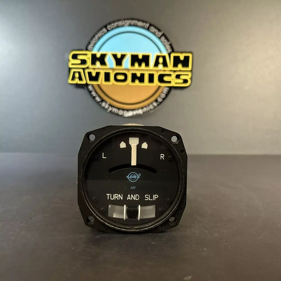 Castleberry Turn And Bank Indicator TS 300-1A (2)