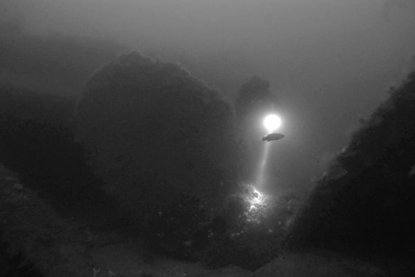 East Coast Wreck Diving business photo