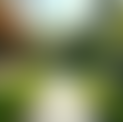 Upgrade Your Backyard: Sustainable Designs for Modern Living