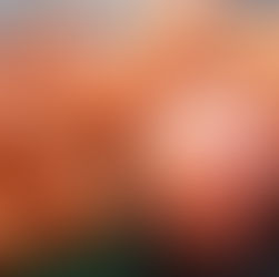 עשרה ימים ראשונים בוורשה