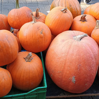 עשרה ימים ראשונים בוורשה