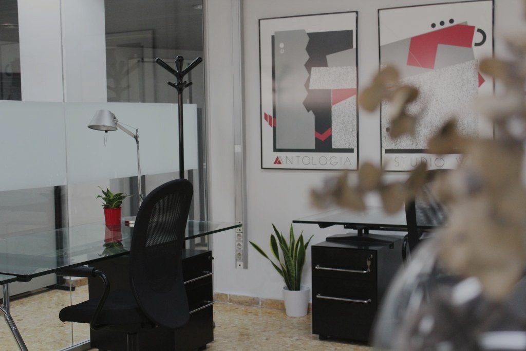 PLANTAS EN TU ESPACIO DE TRABAJO