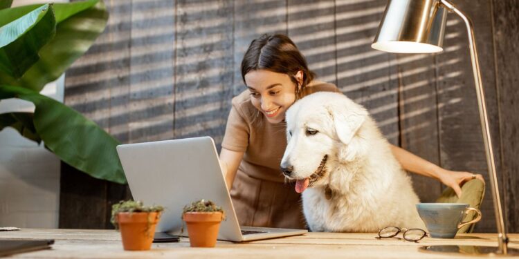 5 RAZONES POR LAS QUE LOS PERROS SON EXCELENTES COMPAÑEROS DE TRABAJO