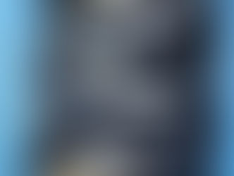 釣果速報🔈レンゲ53ピキ