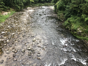 河川情報…平水です