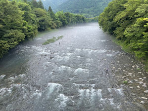 釣果報告　高瀬絶好調‼️