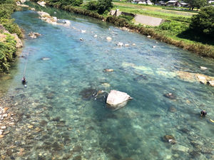 河川情報　東橋周辺