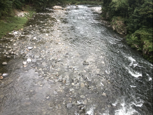 河川状況