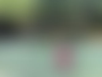 釣果報告 今日は渋い😞