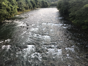 河川状況
