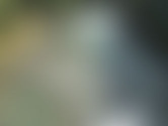 河川情報 広瀬橋周辺