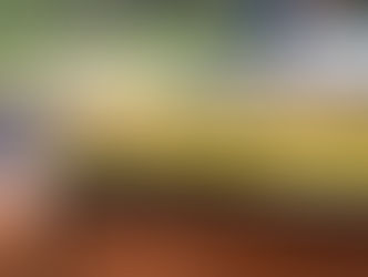 広瀬橋上下絶好調❗️