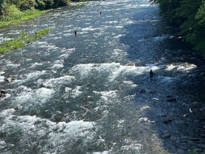 釣果報告 7月3日