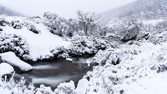 Heavy snow covers the ground at the Thredbo River in the Australian Snowy Mountains photographed by Paul Kowalski.
