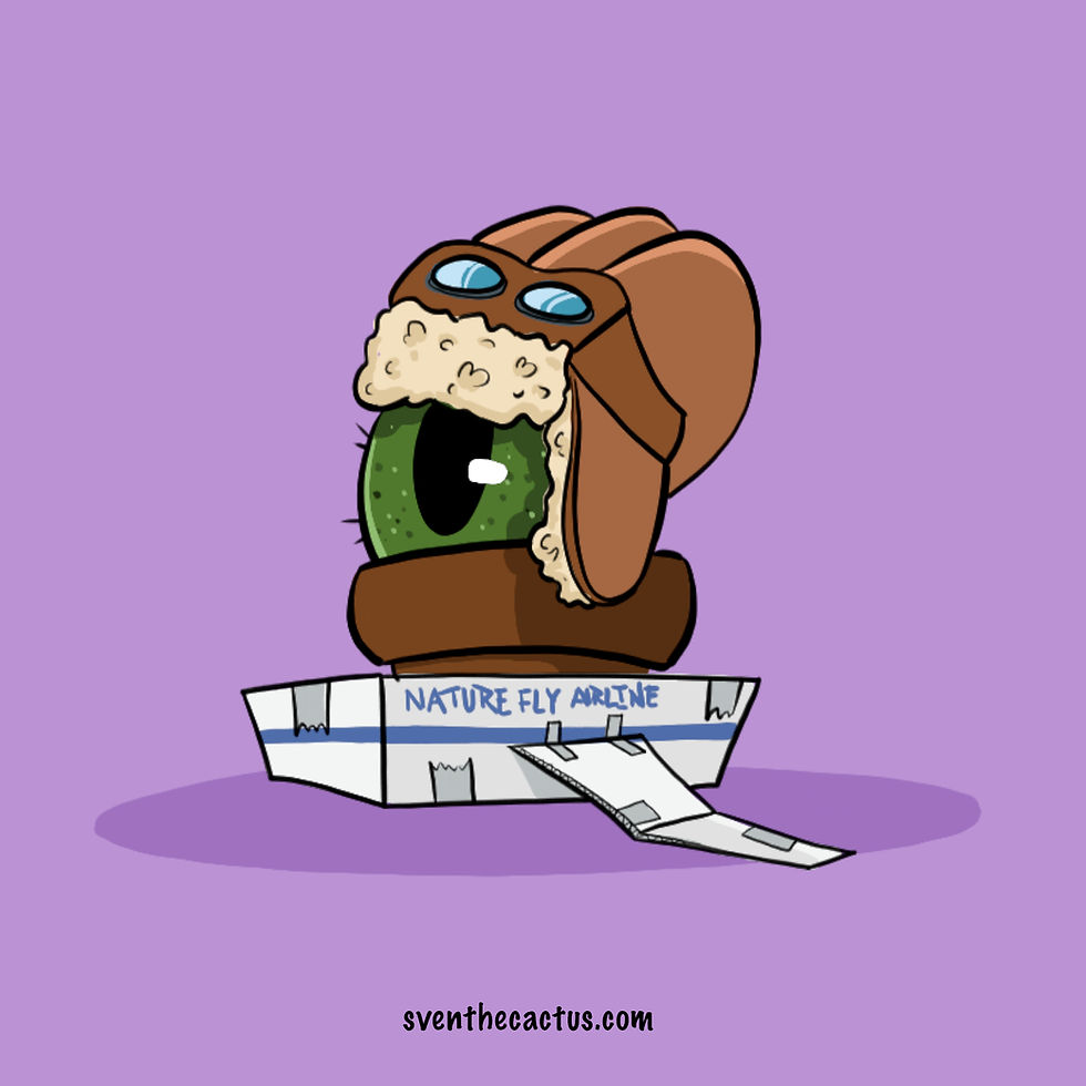 Cartoon illustration of a cactus wearing a vintage pilots hat sitting inside a cardboard airplane.