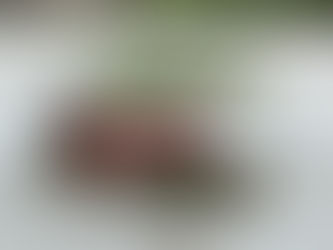 NOAA Predicts Greater Flood Risk