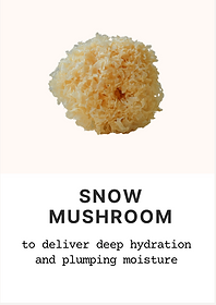 Snow mushroom extract – natural hydrating skincare ingredient, plant hyaluronic acid alternative for moisturizers