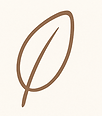 Clean beauty – botanical skincare with safe, organic ingredients