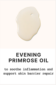 Evening primrose oil – soothing organic skincare ingredient for sensitive skin, dryness, and natural face creams