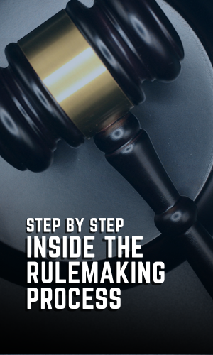 Step by Step: Inside the Rulemaking Process