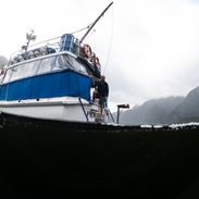 CJM_0588.jpg