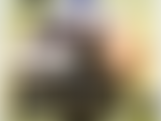 New Hampshire Half Marathons