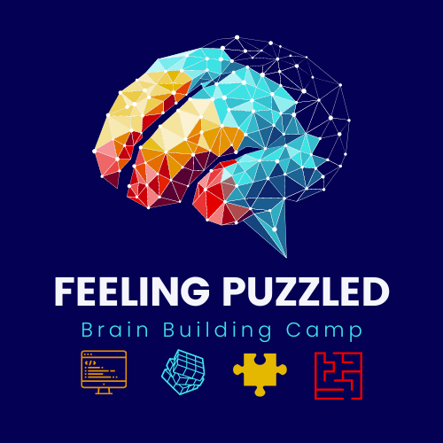 FEELING PUZZLED: 6/16 - 6/20 1:00 PM - 4:00 PM