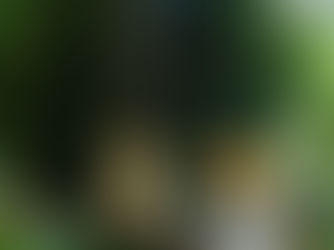 O silêncio que cura e o silêncio que machuca: solitude e solidão