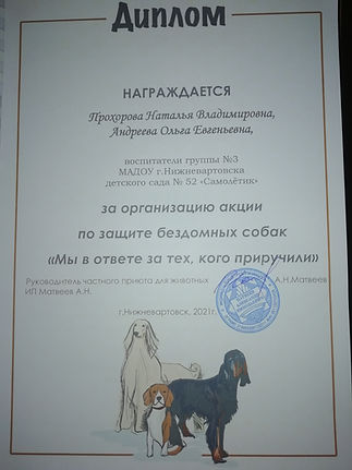 1682870611728.jpg