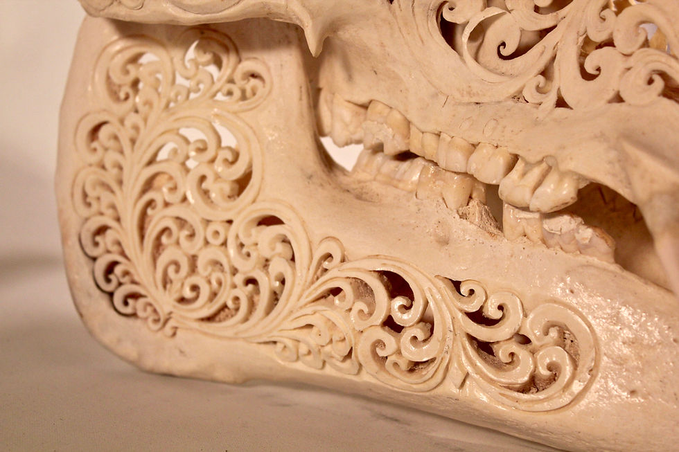 Thumbnail: Boar Skull Carving