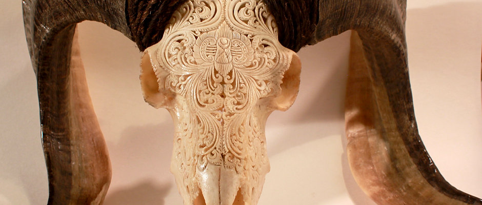 Ram Skull