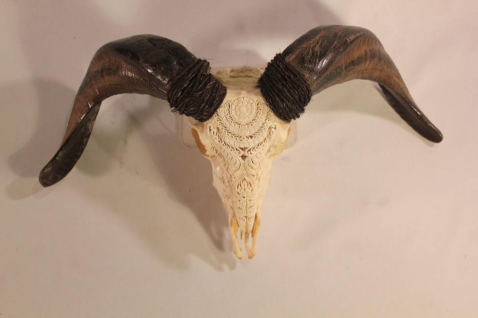Thumbnail: Ram Skull Carving - Traditional design