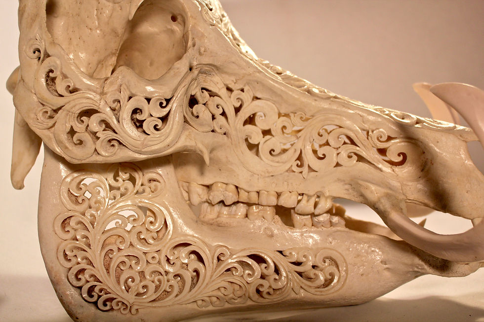 Thumbnail: Boar Skull Carving