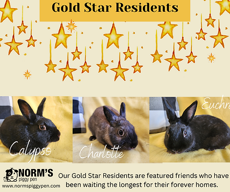 Gold Star Residents (1).png