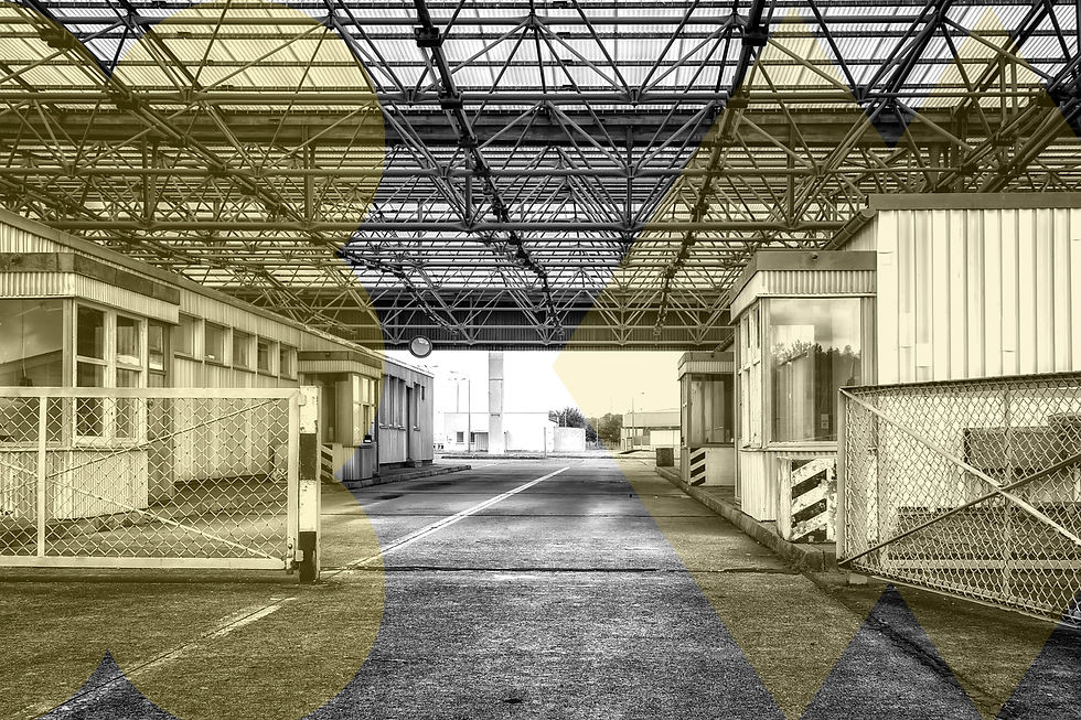 carinsko zastupljivanje