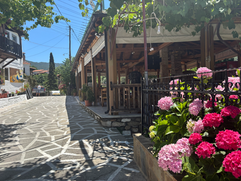Flowers Next to Our Tavern in Agios Georgios