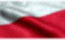 Union of Poles_edited_edited.jpg