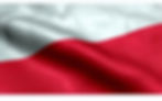 Union of Poles_edited_edited.jpg