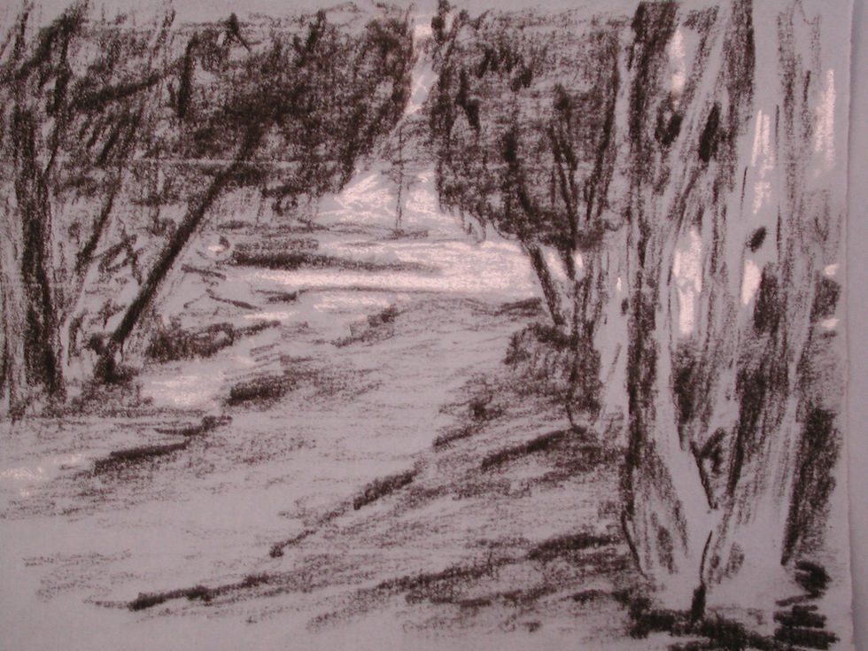 Landscape 3.JPG