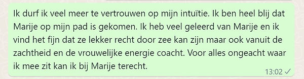merel revieuw.jpg